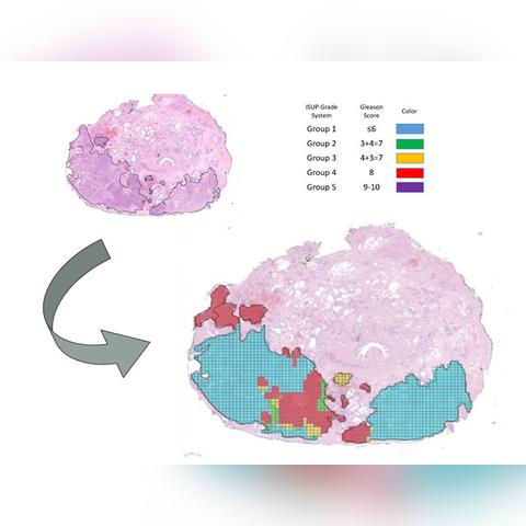 鼓楼24小时天气预报（鼓楼区天气预报）