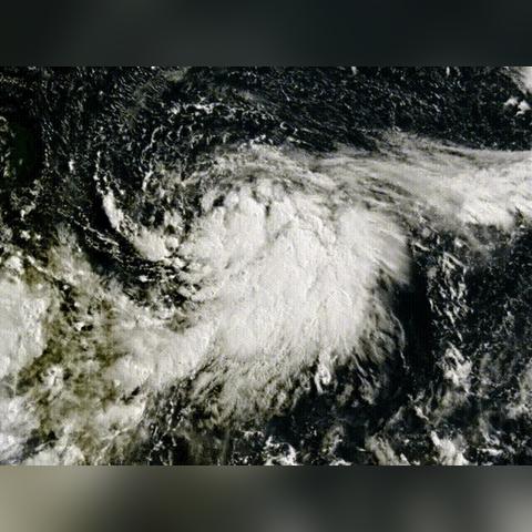 上海三十天天气预报（上海三十天天气预报查询最新）