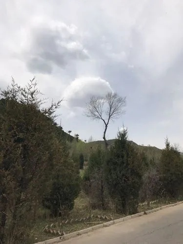 阳曲县天气预报（太原市阳曲县天气预报）