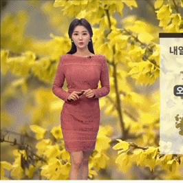 北京天气预报（北京天气预报 24小时）