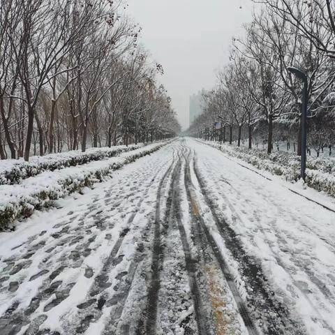 郑州市天气预报(洛阳市天气预报) 郑州市天气预报(洛阳市天气预报)