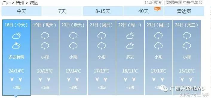 阳朔天气预报15天查询（广西阳朔天气预报15天查询）