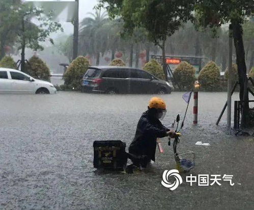 淄博暴雨18人死亡(淄博暴雨18人死亡人数) 淄博暴雨18人死亡(淄博暴雨18人死亡人数)