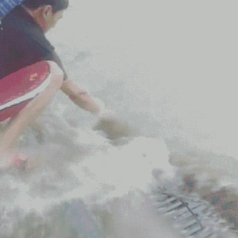 郑州特大暴雨(郑州特大暴雨调查报告全文) 郑州特大暴雨(郑州特大暴雨调查报告全文)