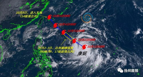 中央气象台卫星云图实况（中央气象台卫星云图实况软件）