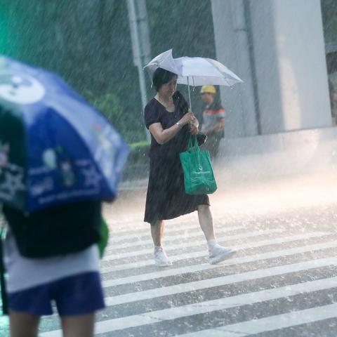 日照大暴雨最新通知（日照大暴雨最新通知公告）