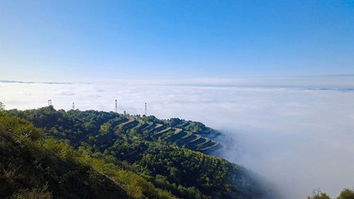 隆化天气预报（隆化天气预报）