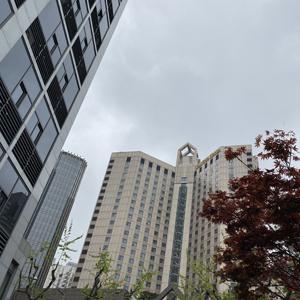 上海天气预报7天准确（上海天气预报7天准确率高吗）