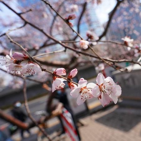 北京天气预报一周15天（北京天气预报一周15天最新消息）