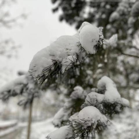 四十五天天气预报（四十五天天气预报漯河天气）