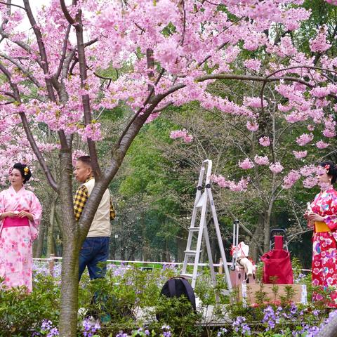 武汉天气预报7天（武汉天气预报7天详情）