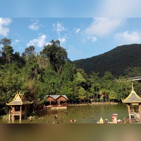 西双版纳旅游攻略必去景点（西双版纳旅游攻略必去景点门票价格）