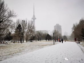 哈尔滨现在下雪了吗（2025年8月下雪的城市）