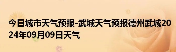 武城天气预报（武城天气预报未来30天）