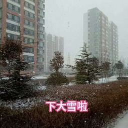 今天气象台发布天气预报（九龙仓华发天荟值得买吗）