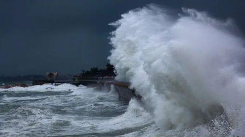 海上风浪查询软件（实时海上风浪）